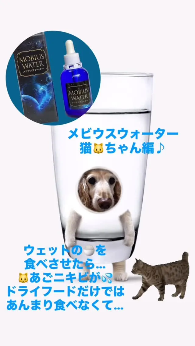 メビウスウォーター(調味料での販売