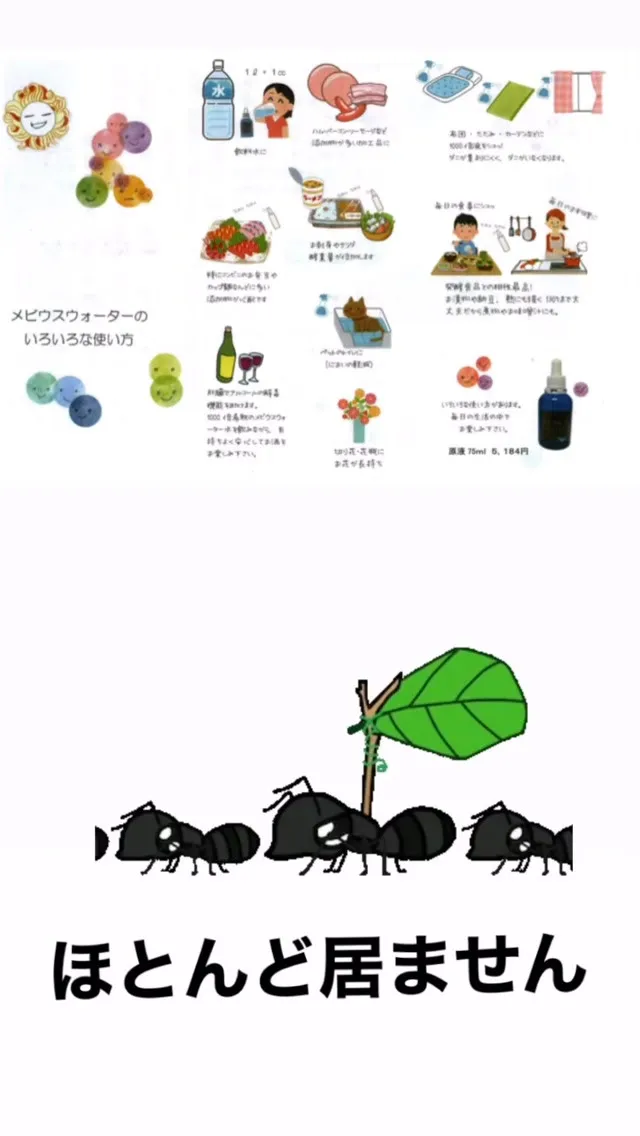 ほんまに‼️